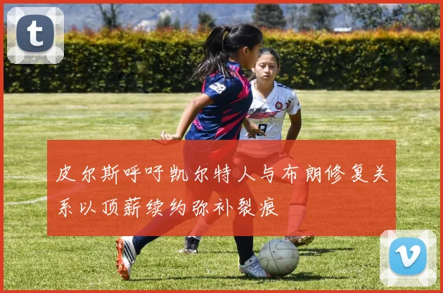 皮尔斯呼吁凯尔特人与布朗修复关系以顶薪续约弥补裂痕